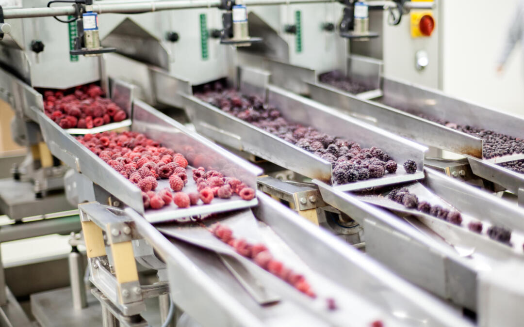 Corso di Addetto ad Attività Alimentari (ex HACCP)